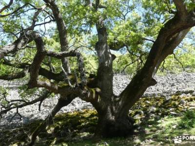 Parque Natural del Valle de Alcudia y Sierra Madrona; mochilas para montaña rutas o courel pueblos d